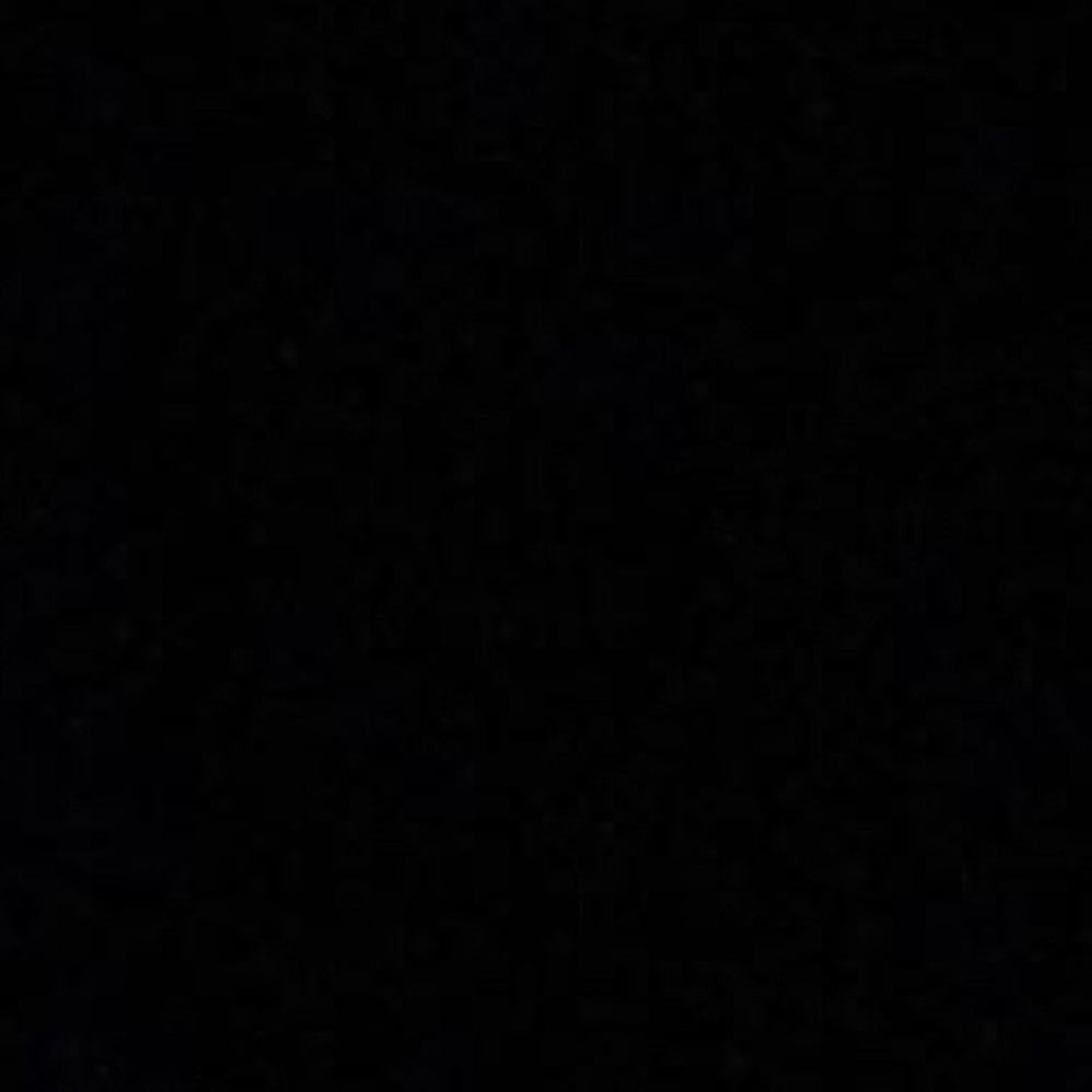 Meet your Posher, Harlee